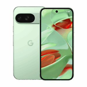 Google Pixel 9 5G Dual Sim 12GB RAM 256GB - Wintergreen